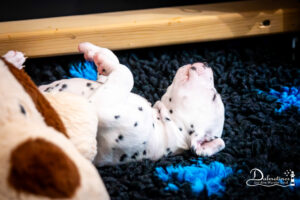 Day_23-1109-